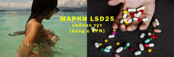 спиды Дмитриев