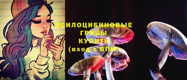 спиды Дмитриев