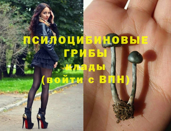 спиды Дмитриев
