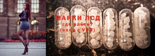 спиды Дмитриев